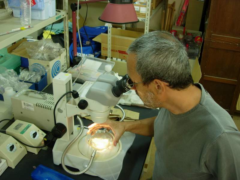 Alvaro working on the scope