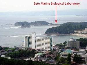 Overlooking the Seto Marine Biological Laboratory