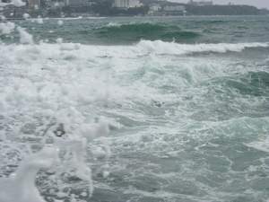 Turbulent waves in Shirahama