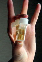 Samples of Different Meats