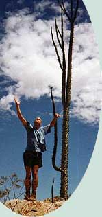 Just so that it is clear. . . I am a boojum.